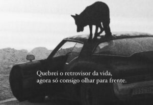 Eu vou Adicionar Sua frase em uma imagem