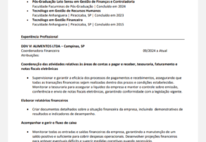 Eu vou Criar ou reformular seu currículo de forma estratégic...