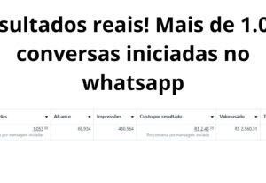 Eu vou fazer a gestão de tráfego para seu negócio