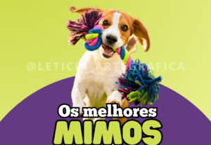Eu vou fazer posts para o seu instagram