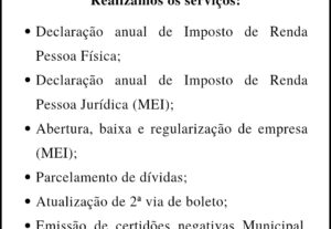 Eu vou Fazer sua Declaração de Imposto de Renda 2025