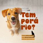 Eu vou criar artes incríveis para sua empresa