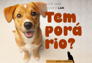 Eu vou criar artes incríveis para sua empresa