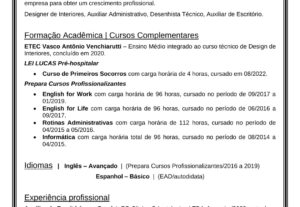 Eu vou fazer seu currículo PDF