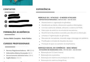 Eu vou fazer seu currículo em formato PDF do seu jeito
