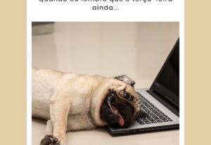 Eu vou criar um pacote de 5 memes para a sua Rede Social