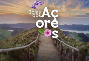 Eu vou fazer um pack de posts para Social Media