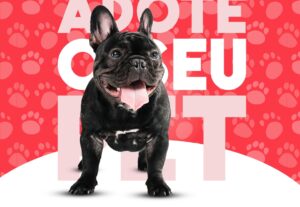 Eu vou criar designs personalizados e banners.