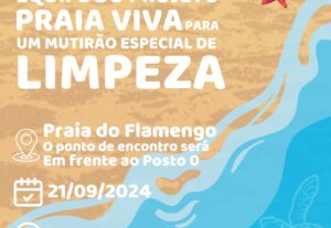 Eu vou fazer um design para uso pessoal, de marca ou empresa