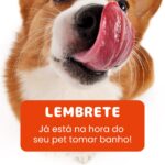Eu vou Criar uma logomarca banner