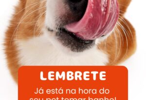 Eu vou Criar uma logomarca banner