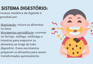 Eu vou fazer sua apresentação de slide
