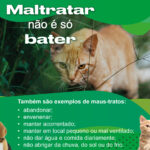 Eu vou Criar para você posts para o Instagram