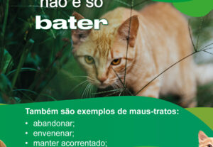 Eu vou Criar para você posts para o Instagram