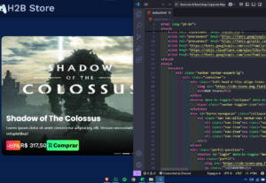 Eu vou fazer o font-end/visual do seu site
