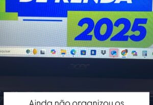 Eu vou fazer seu imposto de renda