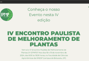 Eu vou fazer um site para sua empresa