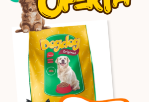 Eu vou fazer criações no canva, além de logos e etc