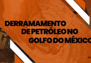 Eu vou criar apresentações que elevam seu projeto