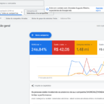 Eu vou fazer o tráfego pago da sua empresa/produto