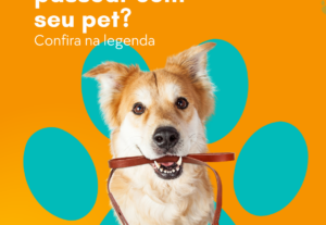 Eu vou criar o conteúdo e as artes que você precisa