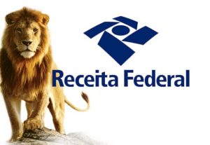 Eu vou fazer sua declaração de imposto de renda