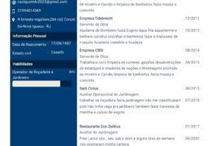 Eu vou fazer o melhor currículo profissional pra vc