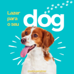 Eu vou Transformar sua Marca e garantir o melhor engajamento