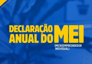 Eu vou fazer Serviços de Declaração de Mei