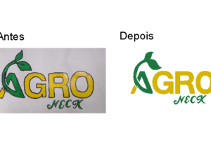 Eu vou vetorizar a sua marca que representam sua empresa
