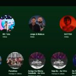 Eu vou desenvolver sites e sistemas web sob medida.