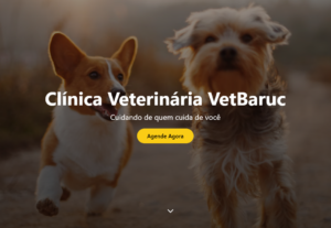Eu vou criar um mini site para seu perfil ou empresa