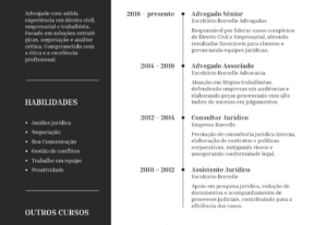Eu vou montar seu currículo profissional