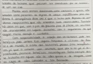 Eu vou te entregar sua redação de 20 linhas em até 12 horas