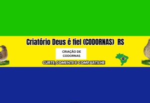 Eu vou criar a melhor capa de youtube para você.
