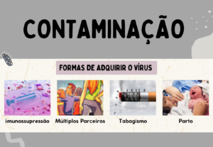 Eu vou criar sua presentação e mapas mentais