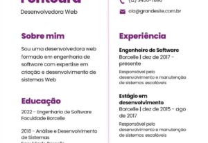 Eu vou fazer seu currículo profissional