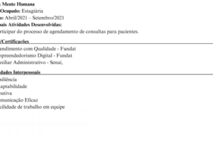 Eu vou criar um currículo atrativo e moderno.