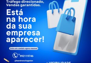 Eu vou ser o gestor de tráfego da sua empresa