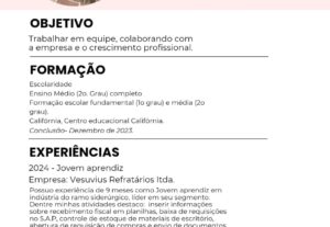 Eu vou criar um currículo atrativo