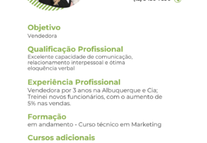 Eu vou montar seu currículo profissional e te indicar vagas