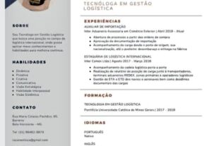 Eu vou criar um currículo atrativo