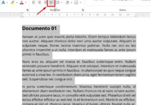 Eu vou Digitar o melhor texto ou planilha para você