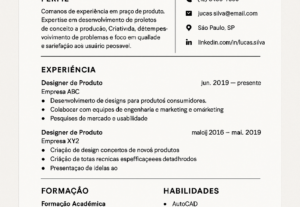 Eu vou fazer currículos profissionais para você.