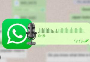 Eu vou Fazer seu áudio WhatsApp