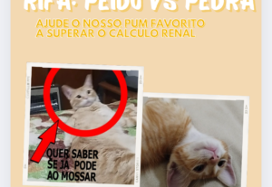 Eu vou fazer sua postagem para Instagram