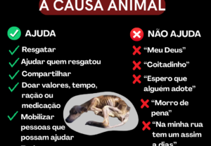 Eu vou fazer serviço de designer grafico