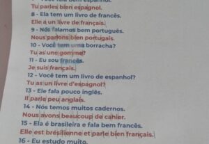 Eu vou Traduzir texto e livro. Francês/português