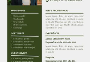 Eu vou fazer seu currículo no canva