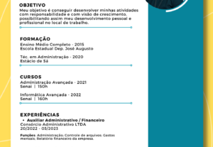 Eu vou Elaborar currículos profissionais e personalizados